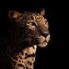 muhamed_g4