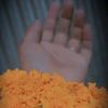 jasmin53637