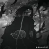 pwlinh11