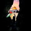 freepalestina_805