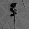 rosessss5__