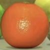 orange_juicy446333
