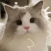 phmthanhvn27