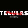telulas_project