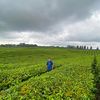 .fadli.08
