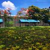 khetwai96