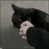 si__62