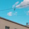 mochyaeditor