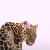 .me..g