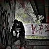pantera_meow