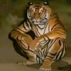 omar_nasr0_0