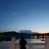 n03042001