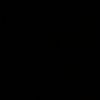 el_flaco_paau502