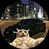 adam_12916...fr