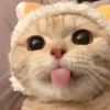mamoyyy_4g
