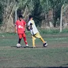 thiagobustaa_
