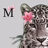 ma___17am3
