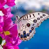 khadija.alkharoub