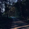ungekl9