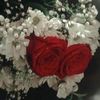evin_343