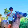 _hsou067