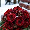 abd.alrazak.moham