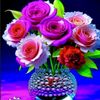 user4719982050807