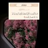 user9120048167940