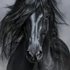 black.hors19