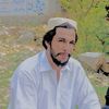 syedfaqeershah804