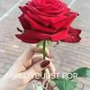 .bella.hassen