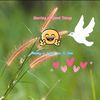 user8421330799499