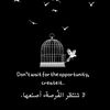 shmokh826