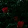 user_name2263