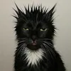 fellipe.xyz
