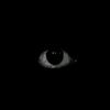 john.eldenring34