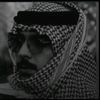 ali0537290
