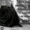 ivanna_.1327