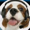 rexthedog564