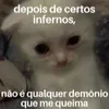 moranguinho5551