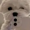 nunuu738