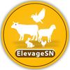 elevagesn4