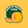 MELON HIDROPONIK PREMIUM SOLO