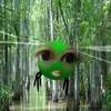 baoo_ngoc879