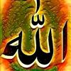 user4410904668757