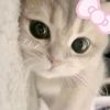 1yssia31