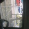 whiterosesra_