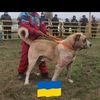sherbakovde2