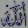 salma.abdul4