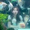 ttruc_iu_oii